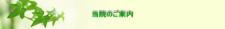 当院のご案内