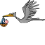 鳥
